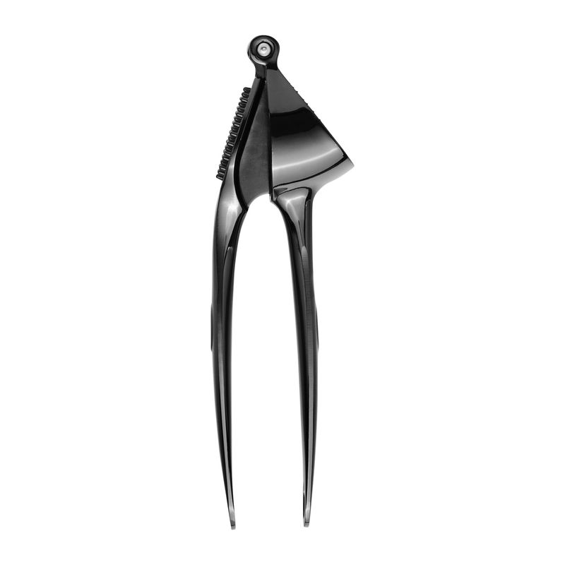 Casa si Gradina - Bucatarie si vesela - Ustensile bucatarie - Prese si storcatoare manuale - Presa usturoi AMBITION Velma, metal, negru cromat - Infinity.ro