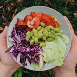 Casa si Gradina - Bucatarie si vesela - Vesela si tacamuri - Farfurii si boluri - Set farfurii 18 piese, pentru 6 persoane, Wall, Cesiro, Alb/Caramiziu - Infinity.ro