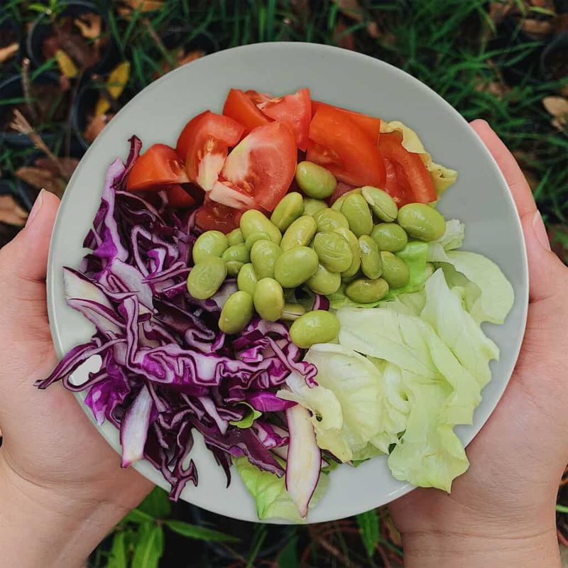 Casa si Gradina - Bucatarie si vesela - Vesela si tacamuri - Farfurii si boluri - Set farfurii 18 piese, pentru 6 persoane, Wall, Cesiro, Alb/Caramiziu - Infinity.ro