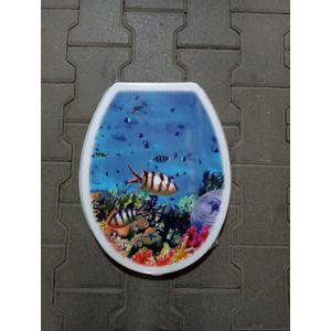 Casa si Gradina - Sanitare - Obiecte sanitare - Infinity.ro