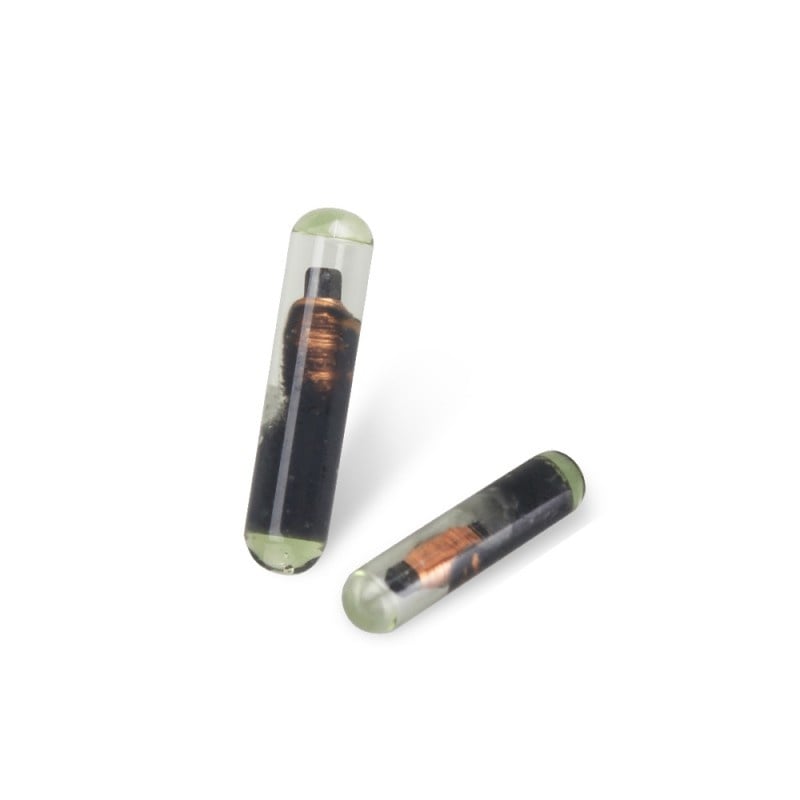 Auto si Moto - Electronice auto - Accesorii electronice auto - Cip Transponder Techstar® ID48, T6, Sticla, Unlocked, Compatibil gama VAG - Infinity.ro