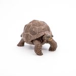 Jucarii, Copii si Bebe - Jucarii si jocuri - Figurine - Papo figurina testoasa galapagos - Infinity.ro