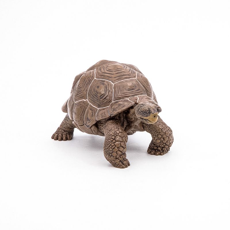 Jucarii, Copii si Bebe - Jucarii si jocuri - Figurine - Papo figurina testoasa galapagos - Infinity.ro