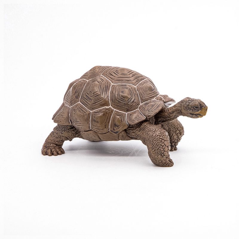 Jucarii, Copii si Bebe - Jucarii si jocuri - Figurine - Papo figurina testoasa galapagos - Infinity.ro