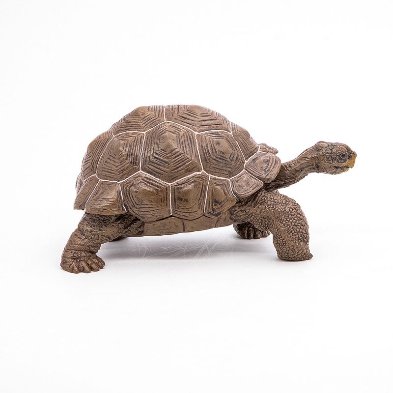 Jucarii, Copii si Bebe - Jucarii si jocuri - Figurine - Papo figurina testoasa galapagos - Infinity.ro