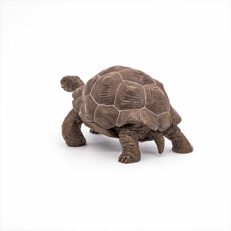Jucarii, Copii si Bebe - Jucarii si jocuri - Figurine - Papo figurina testoasa galapagos - Infinity.ro