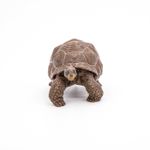 Jucarii, Copii si Bebe - Jucarii si jocuri - Figurine - Papo figurina testoasa galapagos - Infinity.ro