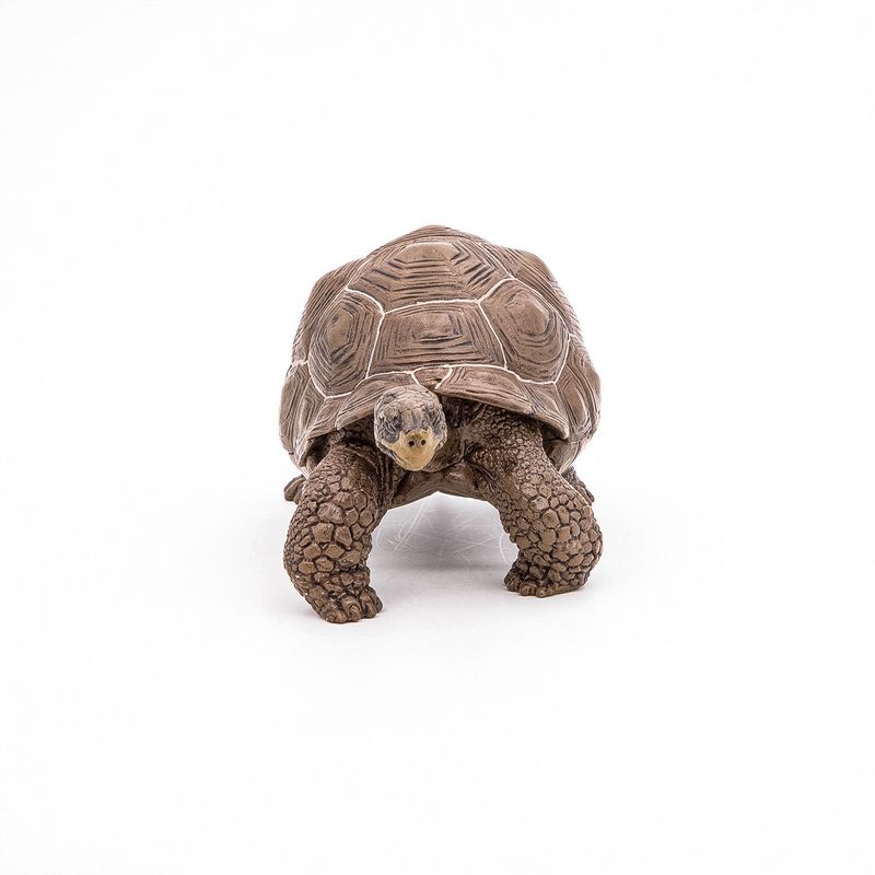 Jucarii, Copii si Bebe - Jucarii si jocuri - Figurine - Papo figurina testoasa galapagos - Infinity.ro