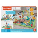 Jucarii, Copii si Bebe - Jucarii si jocuri - Jucarii bebelusi - Centre de activitati - Fisher price salteluta 3 in 1 - Infinity.ro