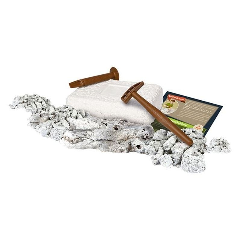 Jucarii, Copii si Bebe - Jucarii si jocuri - Jucarii & jocuri educative - Jocuri si jucarii educative - Set Stiinta si Joaca, Dinozauri, Tiranozauri - Infinity.ro