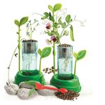 Jucarii, Copii si Bebe - Jucarii si jocuri - Jucarii & jocuri educative - Jocuri si jucarii educative - Set de Stiinta si Joaca, Gradina Mea, Cultiva Plante Fara Sol - Infinity.ro