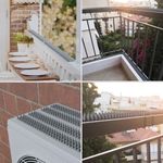 Market - Curatenie si intretinere casa - Produse menaj - Insecticide si capcane - Tepi Anti Pasari Gri, dimensiune 45x5cm, - 3buc, Gri - Infinity.ro