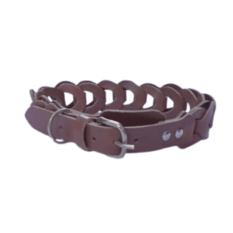 Petshop - Accesorii petshop - Zgarzi, lese si hamuri - Zgarzi - Zgarda maro deschis, impletita, din piele naturala, pentru caini 60X3 cm - Infinity.ro