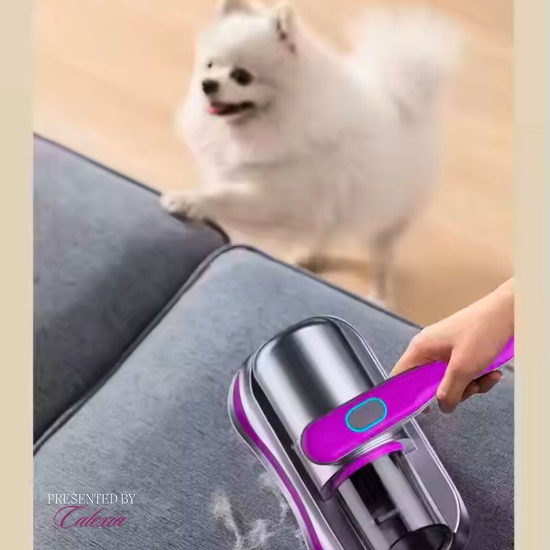 Electronice si Electrocasnice - Ingrijirea locuintei - Aspiratoare - Aspirator Profesional e-Wantay 2in1, Portabil,8000Pa, 100W, Fara Sac,Filtru HEPA,Putere Reglabila,Curatare cu Lumina UV - Infinity.ro