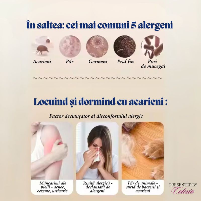 Electronice si Electrocasnice - Ingrijirea locuintei - Aspiratoare - Aspirator Profesional e-Wantay 2in1, Portabil,8000Pa, 100W, Fara Sac,Filtru HEPA,Putere Reglabila,Curatare cu Lumina UV - Infinity.ro