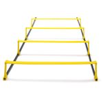 Sport si Outdoor - Accesorii si echipamente sportive - Accesorii antrenament si tabele tactice - Scarita antrenament TeamSports T-PRO reglabila pe inaltime - Infinity.ro