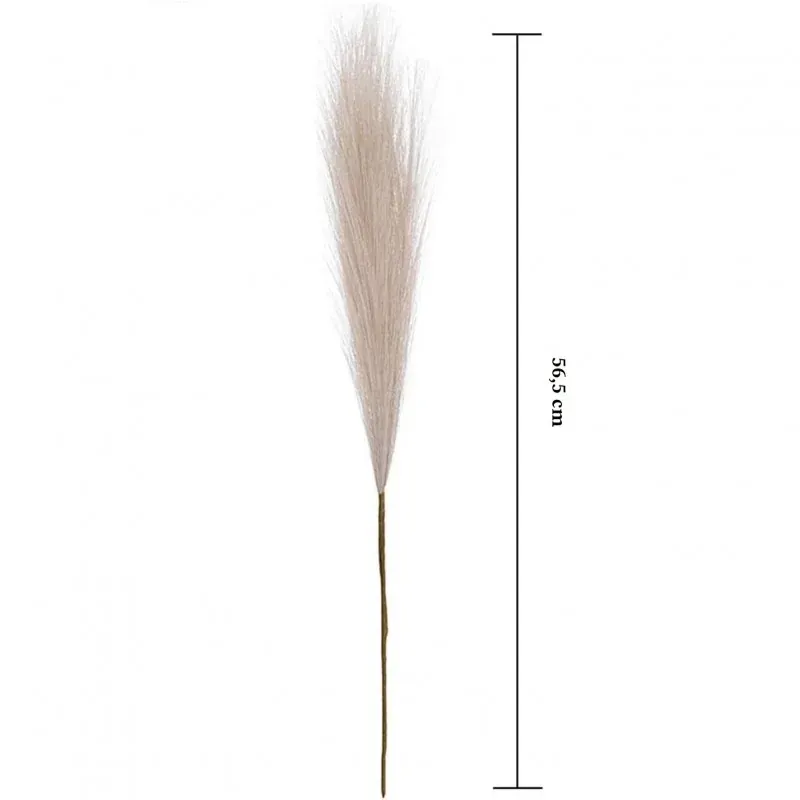 Market - Cadouri - Flori si aranjamente - Pampas artificial, lungime 56,5 cm, Gonga® Bej - Infinity.ro