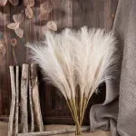 Market - Cadouri - Flori si aranjamente - Pampas artificial, lungime 56,5 cm, Gonga® Bej - Infinity.ro