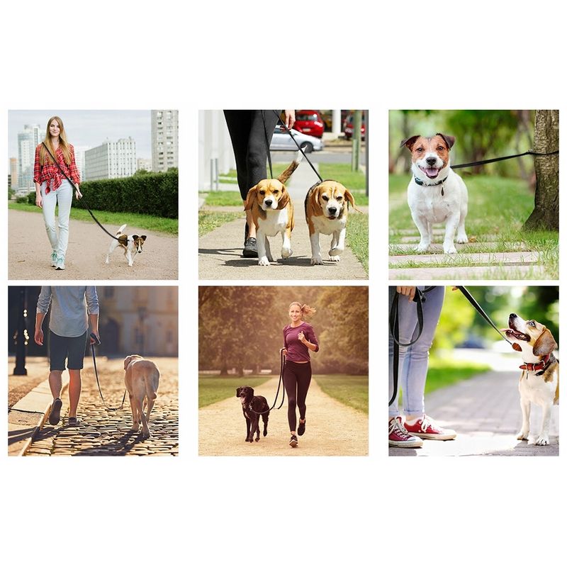 Petshop - Accesorii petshop - Zgarzi, lese si hamuri - Lese - Lesa reglabila pentru caini Nuxie, inel pentru dublare lesa, 5 m, latime 2.5 cm, negru - Infinity.ro