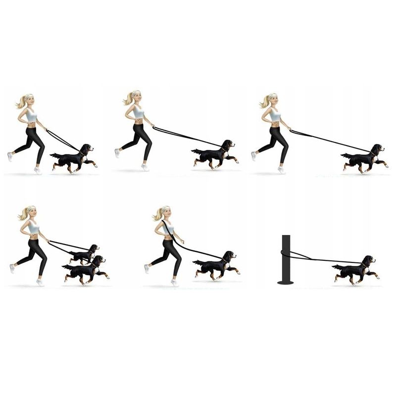 Petshop - Accesorii petshop - Zgarzi, lese si hamuri - Lese - Lesa reglabila pentru caini Nuxie, inel pentru dublare lesa, 5 m, latime 2.5 cm, negru - Infinity.ro