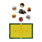 Casa si Gradina - Gradinarit si plante - Intretinere gradina - Articole daunatori gradina - Capcana cu lipici pentru soareci tip carte, 31.5 x 21 cm, Gonga® Verde - Infinity.ro