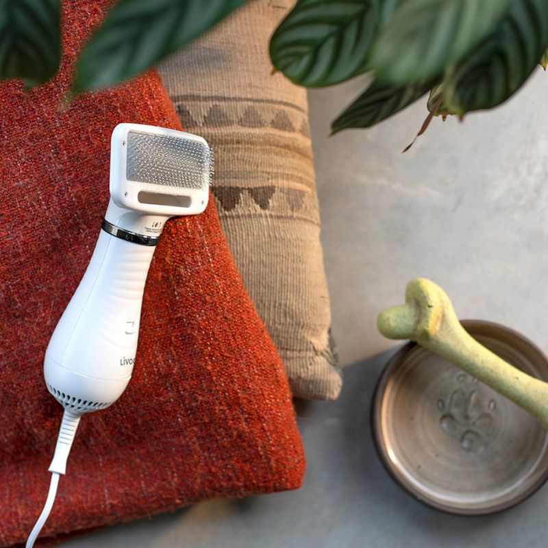 Petshop - Ingrijire si Igiena - Produse uz extern - Perii si manusi - Perie uscator pentru animale Livoo PET102, 45 °C - 65 °C, 300W - Infinity.ro