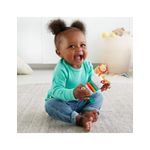 Jucarii, Copii si Bebe - Jucarii si jocuri - Jucarii bebelusi - Jucarii zornaitoare - Fisher price jucarii zornaitoare lama multicolora - Infinity.ro