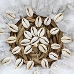 Fashion, accesorii si bijuterii - Femei - Accesorii femei - Genti si rucsacuri femei - Geanta Boho din Fibre Naturale cu Scoici si Pene – Hoff Interieur, alb - Infinity.ro