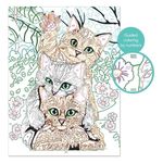 Jucarii, Copii si Bebe - Jucarii si jocuri - Jucarii & jocuri educative - Seturi pictura si desen - Kit Pictura si Rama cu Numere, Funny Kitties - Infinity.ro