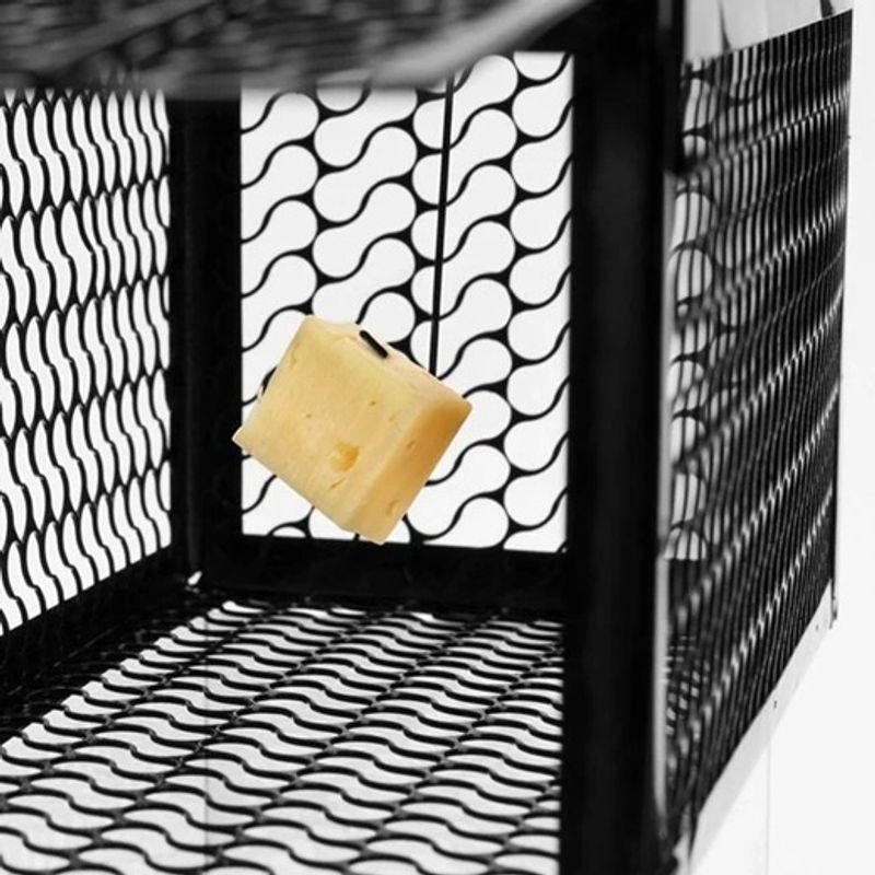 Market - Curatenie si intretinere casa - Produse menaj - Insecticide si capcane - Capacana Rozatoare Metalica Neagra 23x11x11cm - Infinity.ro