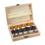 Casa si Gradina - Constructii - Scule electrice si accesorii - Accesorii pentru frezare - Set Freze Forstner 5 buc 15- 35mm RBF5 - Infinity.ro