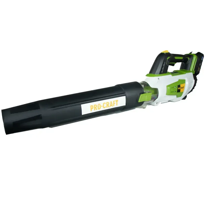 Casa si Gradina - Gradinarit si plante - Utilaje gradina - Aspiratoare, suflante si tocatoare - Suflanta pe acumulator PB20 - Infinity.ro