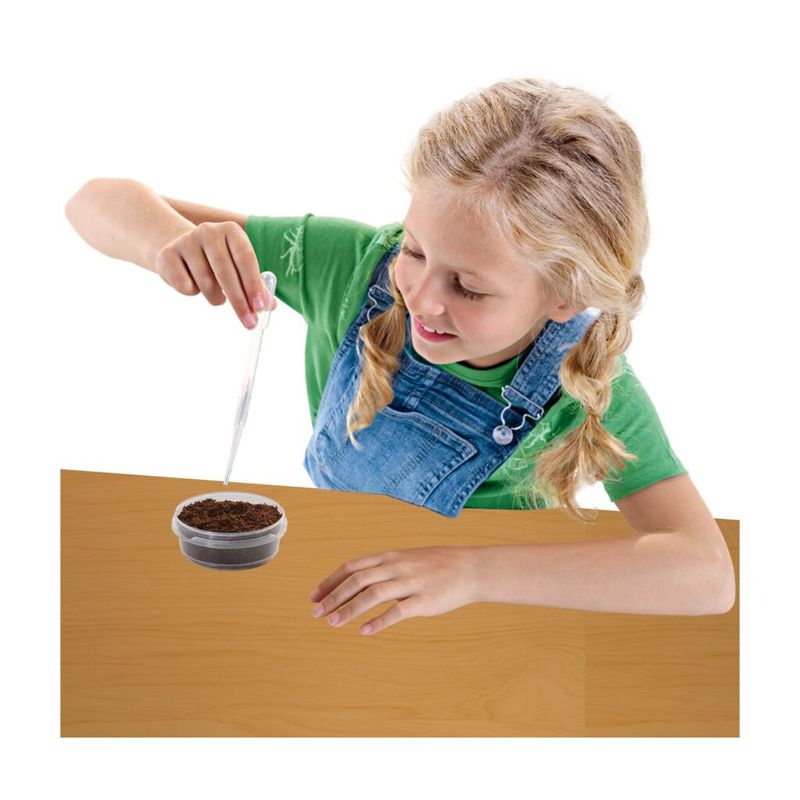 Jucarii, Copii si Bebe - Jucarii si jocuri - Jucarii & jocuri educative - Seturi de artizanat - Set Creativ Casuta Cu Gradina Din Copac - Infinity.ro