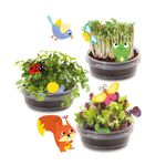 Jucarii, Copii si Bebe - Jucarii si jocuri - Jucarii & jocuri educative - Seturi de artizanat - Set Creativ Casuta Cu Gradina Din Copac - Infinity.ro