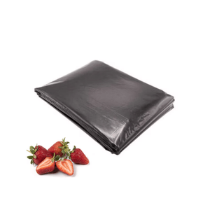 Casa si Gradina - Gradinarit si plante - Sere si solarii - Infinity.ro