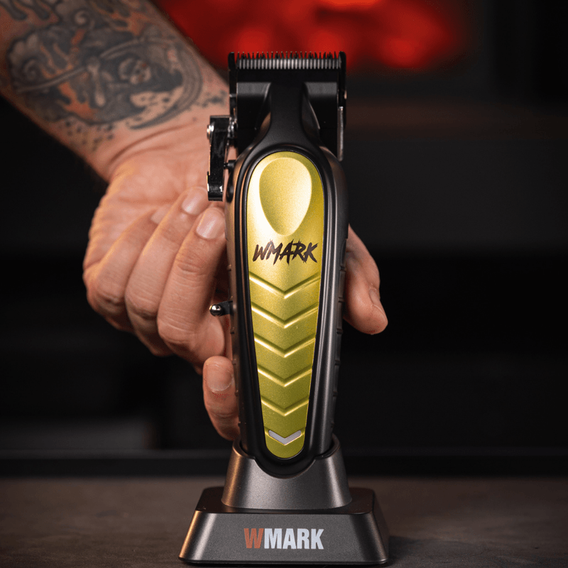 Ingrijire personala si Cosmetice - Aparate & accesorii ingrijire personala - Aparate de ras si tuns - Aparate de tuns - Masina Tuns Profesionala BIRAI Royal, 8000 RPM, LED, USB, Lame Titan, Negru, Rezistenta Apa, Precizie, Salon - Infinity.ro