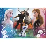 Jucarii, Copii si Bebe - Jucarii si jocuri - Jocuri si puzzle - Puzzle - Puzzle Trefl 300 Disney Frozen 2 Magia - Infinity.ro