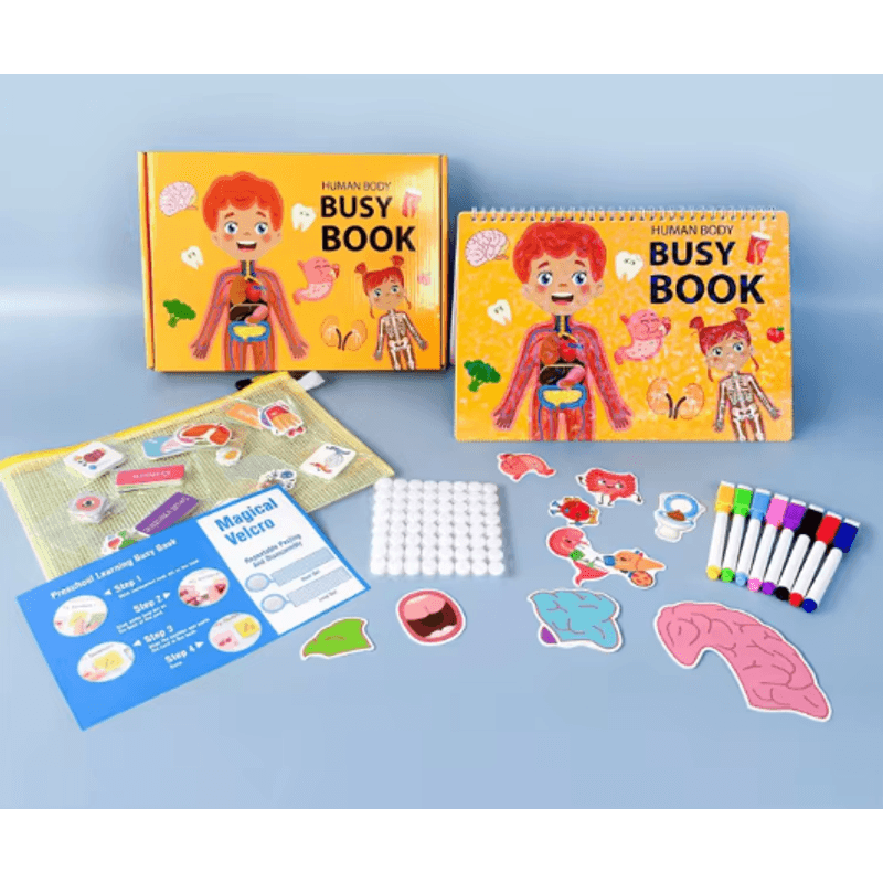 Carti si Birotica - Carti - Carti pentru copii - Carti interactive - Carte interactiva si educativa, Busy Book Corpul Uman, 30 pagini activitati, stickere, Limba Engleza, 3 ani+, EduJucarii - Infinity.ro