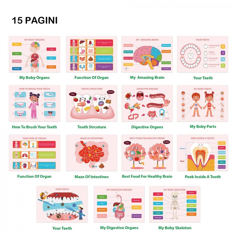 Carti si Birotica - Carti - Carti pentru copii - Carti interactive - Carte interactiva si educativa, Busy Book Corpul Uman, 30 pagini activitati, stickere, Limba Engleza, 3 ani+, EduJucarii - Infinity.ro