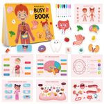 Carti si Birotica - Carti - Carti pentru copii - Carti interactive - Carte interactiva si educativa, Busy Book Corpul Uman, 30 pagini activitati, stickere, Limba Engleza, 3 ani+, EduJucarii - Infinity.ro