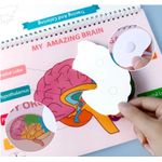 Carti si Birotica - Carti - Carti pentru copii - Carti interactive - Carte interactiva si educativa, Busy Book Corpul Uman, 30 pagini activitati, stickere, Limba Engleza, 3 ani+, EduJucarii - Infinity.ro