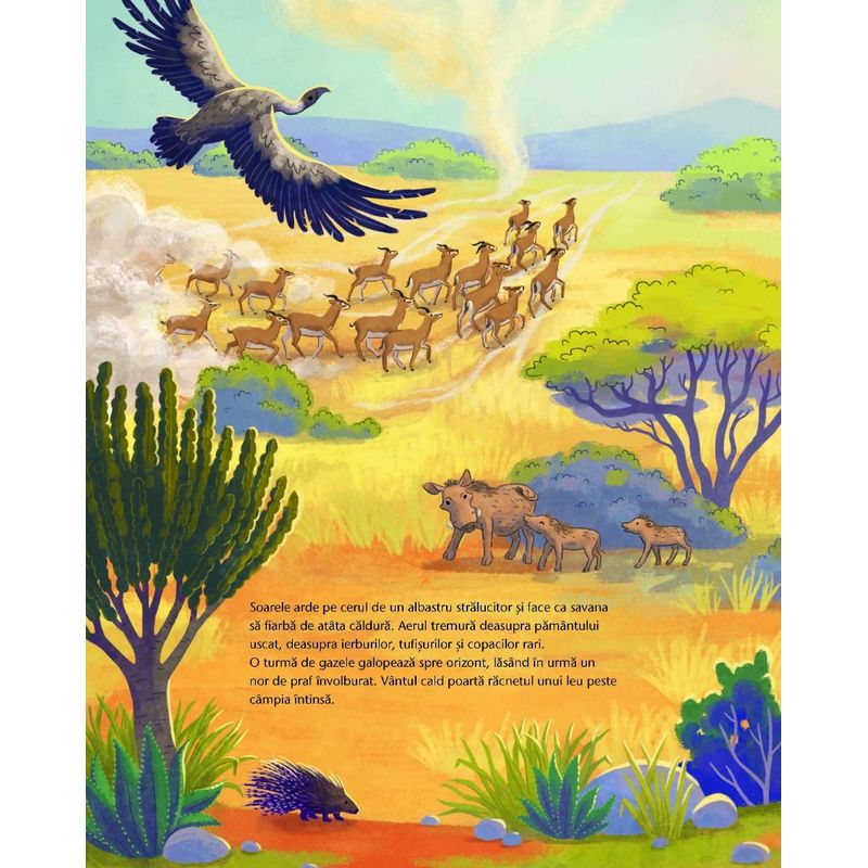 Carti si Birotica - Carti - Carti pentru copii - Basme si povesti - Mica girafa: Acasa, in savana - Infinity.ro