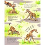 Carti si Birotica - Carti - Carti pentru copii - Basme si povesti - Mica girafa: Acasa, in savana - Infinity.ro