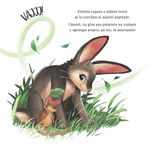 Carti si Birotica - Carti - Carti pentru copii - Basme si povesti - Ce lume minunata - Infinity.ro
