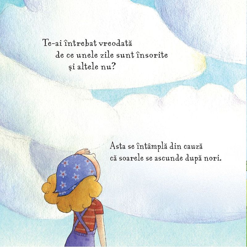 Carti si Birotica - Carti - Carti pentru copii - Basme si povesti - O zi insorita (Usborne) - Infinity.ro