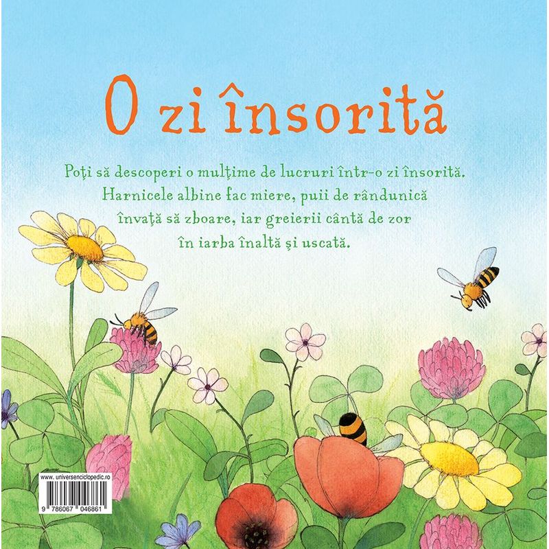 Carti si Birotica - Carti - Carti pentru copii - Basme si povesti - O zi insorita (Usborne) - Infinity.ro