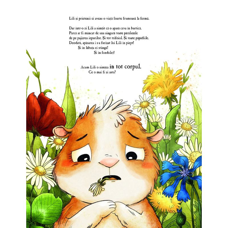 Carti si Birotica - Carti - Carti pentru copii - Basme si povesti - Lili si marea aventura - Infinity.ro