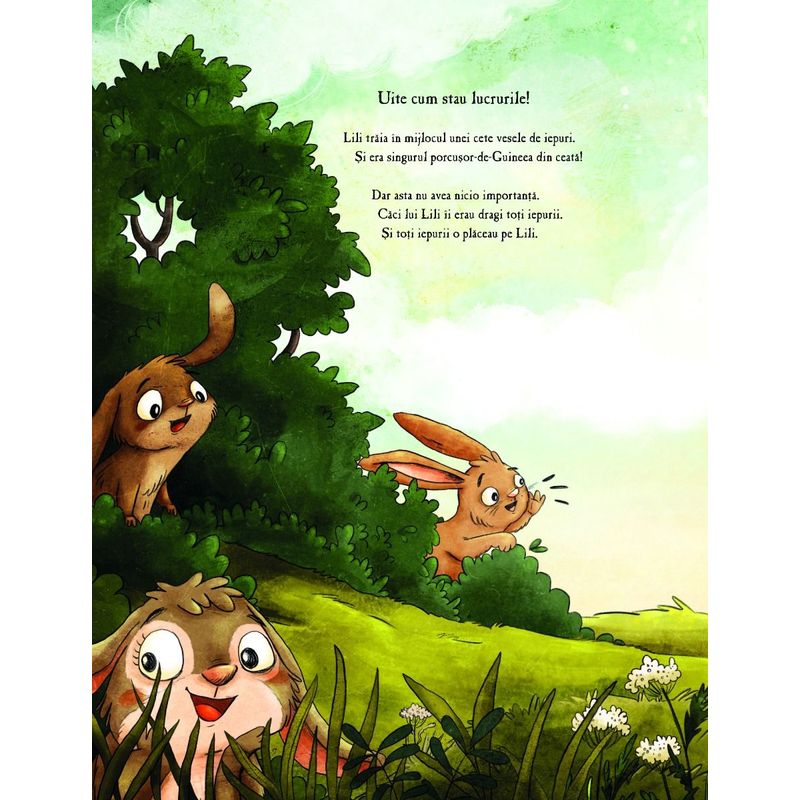 Carti si Birotica - Carti - Carti pentru copii - Basme si povesti - Lili si marea aventura - Infinity.ro