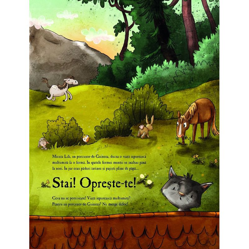 Carti si Birotica - Carti - Carti pentru copii - Basme si povesti - Lili si marea aventura - Infinity.ro