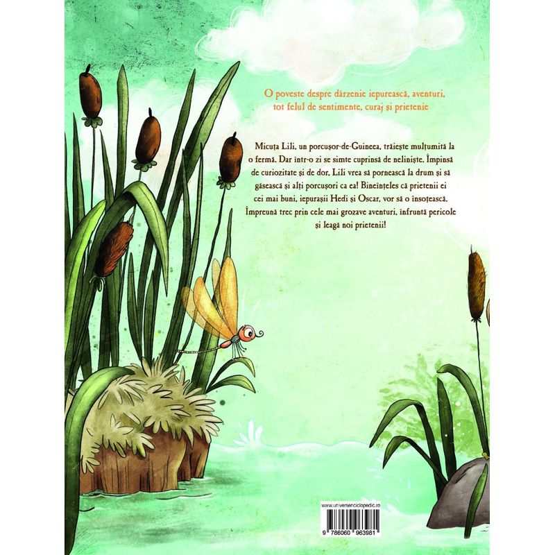 Carti si Birotica - Carti - Carti pentru copii - Basme si povesti - Lili si marea aventura - Infinity.ro